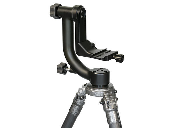 Wimberley WH-200 Head Version II Svinghode for store teler 